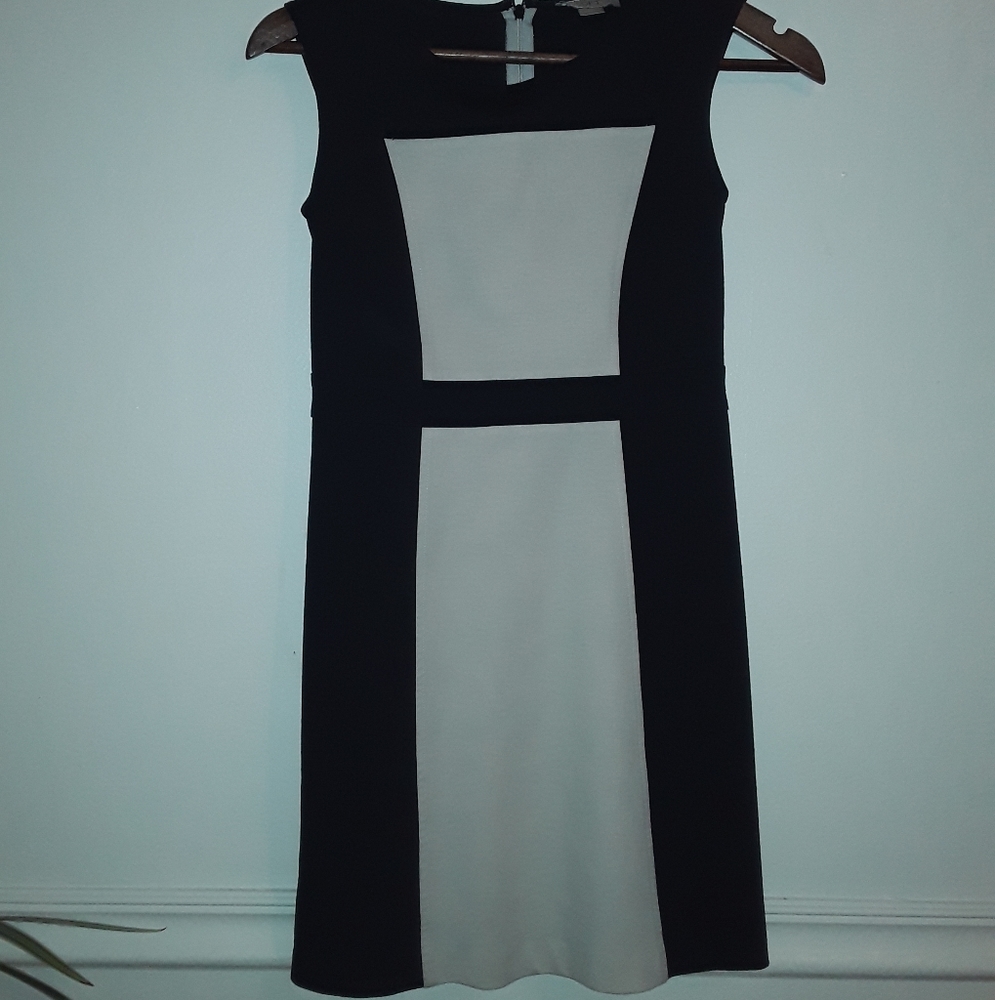 Cute and Modern Mini Dress